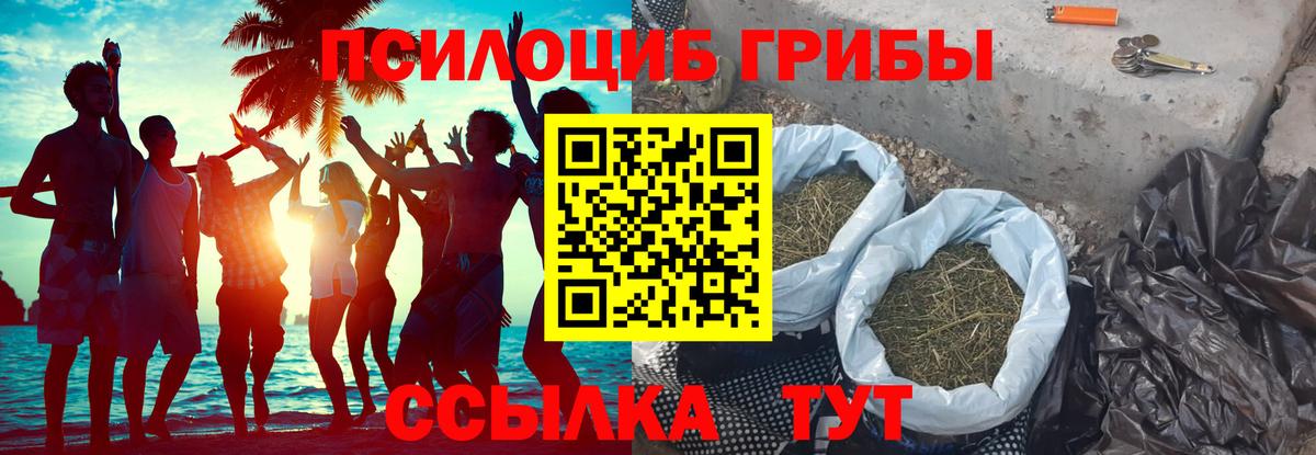 Россошь  Псилоцибиновые грибы MAGIC MUSHROOMS  Вход с VPN 