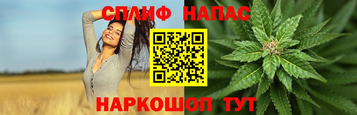 Конопля Bruce Banner  Вход с VPN  Канабис планчик  Конопля SATIVA & INDICA  Россошь  Шишки марихуана индика 